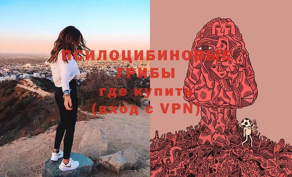 герыч Алексин