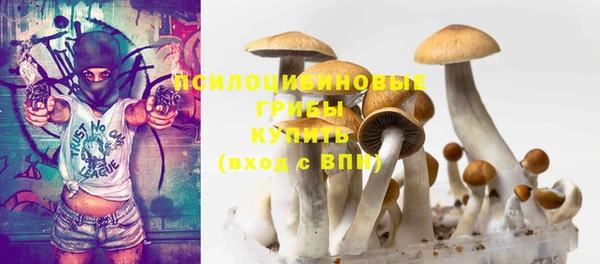 герыч Алексин